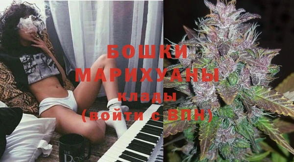 гидра Михайловка