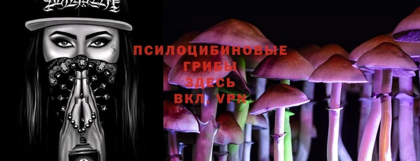 сатива Михайлов