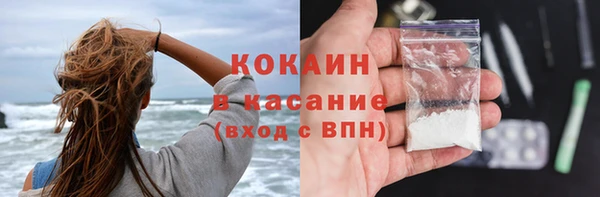 сатива Михайлов