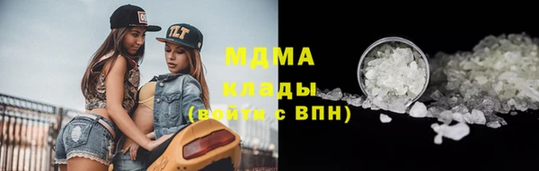 гидра Михайловка