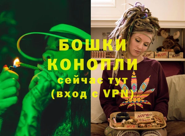 гидра Михайловка