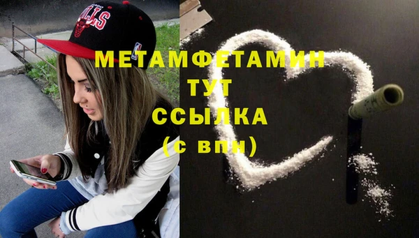 гидра Михайловка