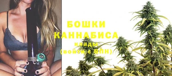 сатива Михайлов