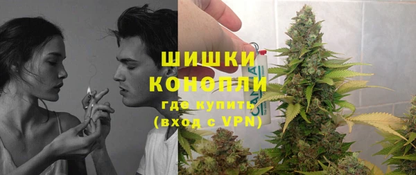 сатива Михайлов