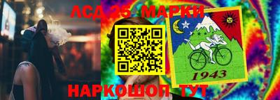 гидропоника Гатчина