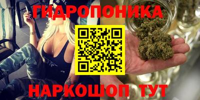 гашиш Гай