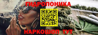 гашиш Гай