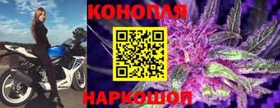 гидропоника Гатчина