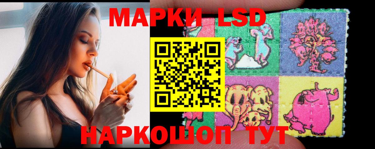 МЕФ Печора