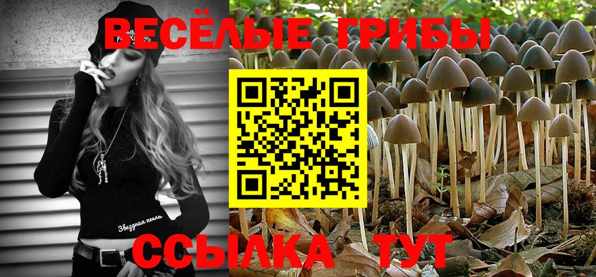 Псилоцибиновые грибы Psilocybe  Вход с VPN  Псилоцибиновые грибы Psilocybine cubensis  Печора 